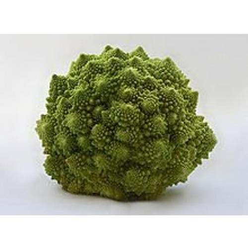 Romanesco, regionale Ernte