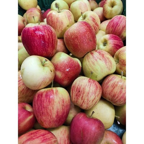 Apfel 1kg