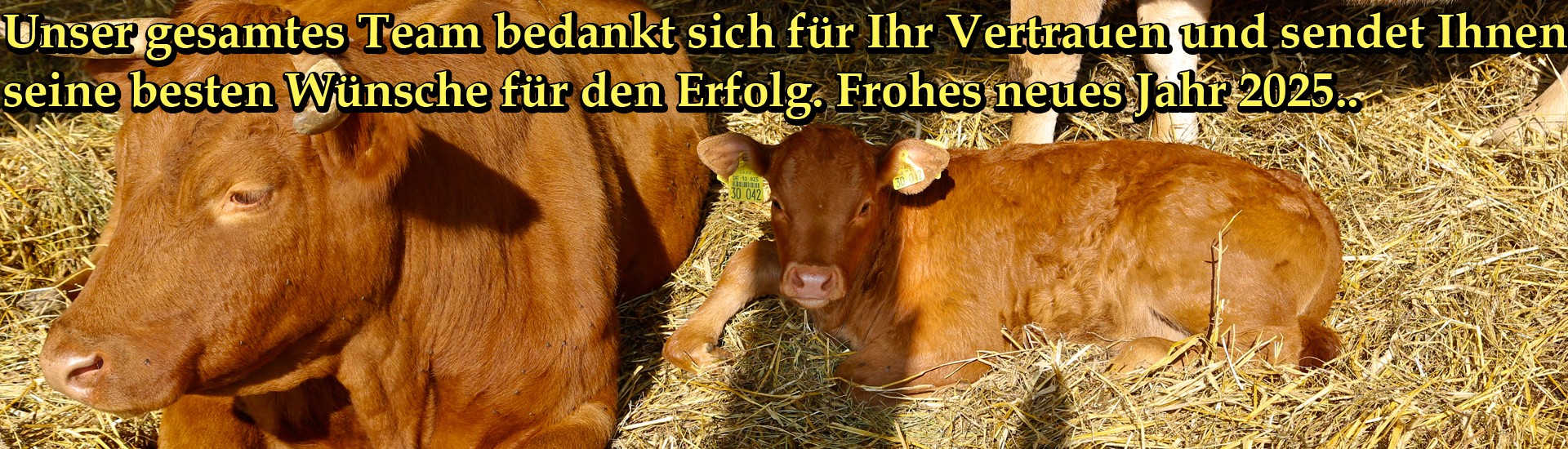 Bio vom Bauernhof : Fleisch, Aufschnitt, Lebensmittel und Bio-Produkte